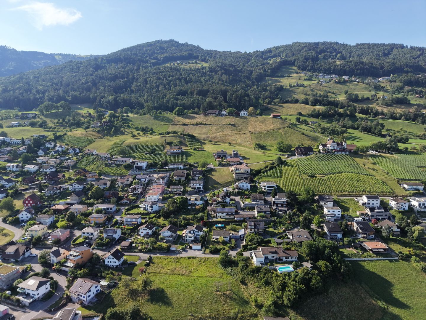 Baulandparzelle am Südhang mit Weitsicht über das Rheintal - Bild 8