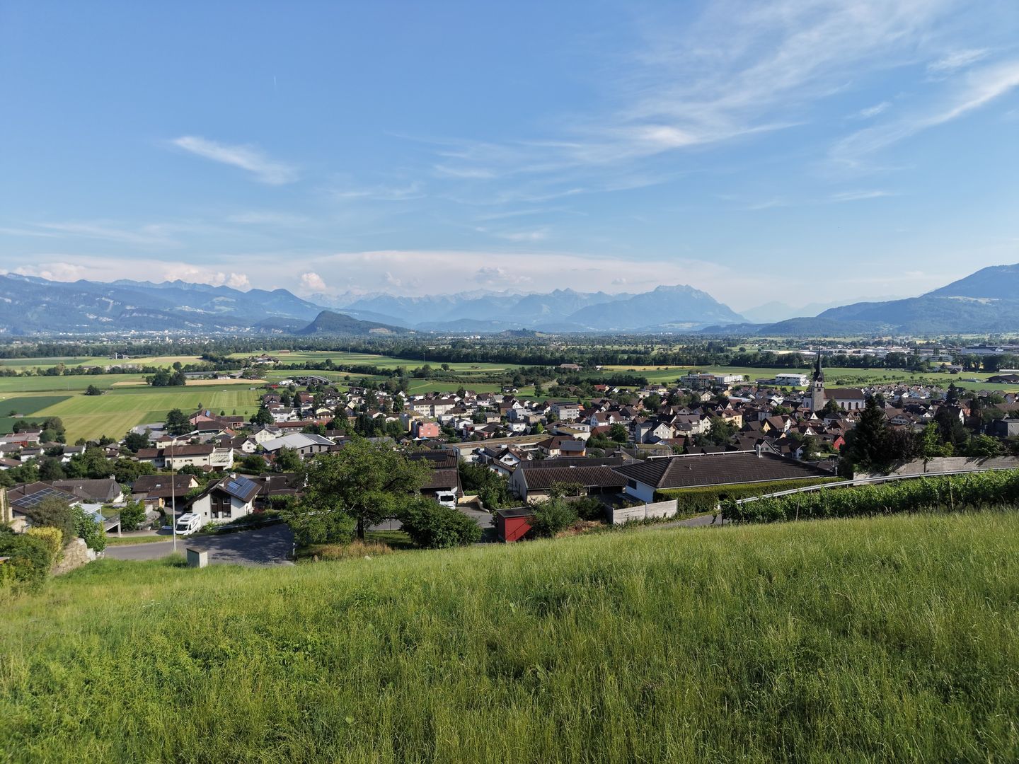 Baulandparzelle am Südhang mit Weitsicht über das Rheintal - Bild 5