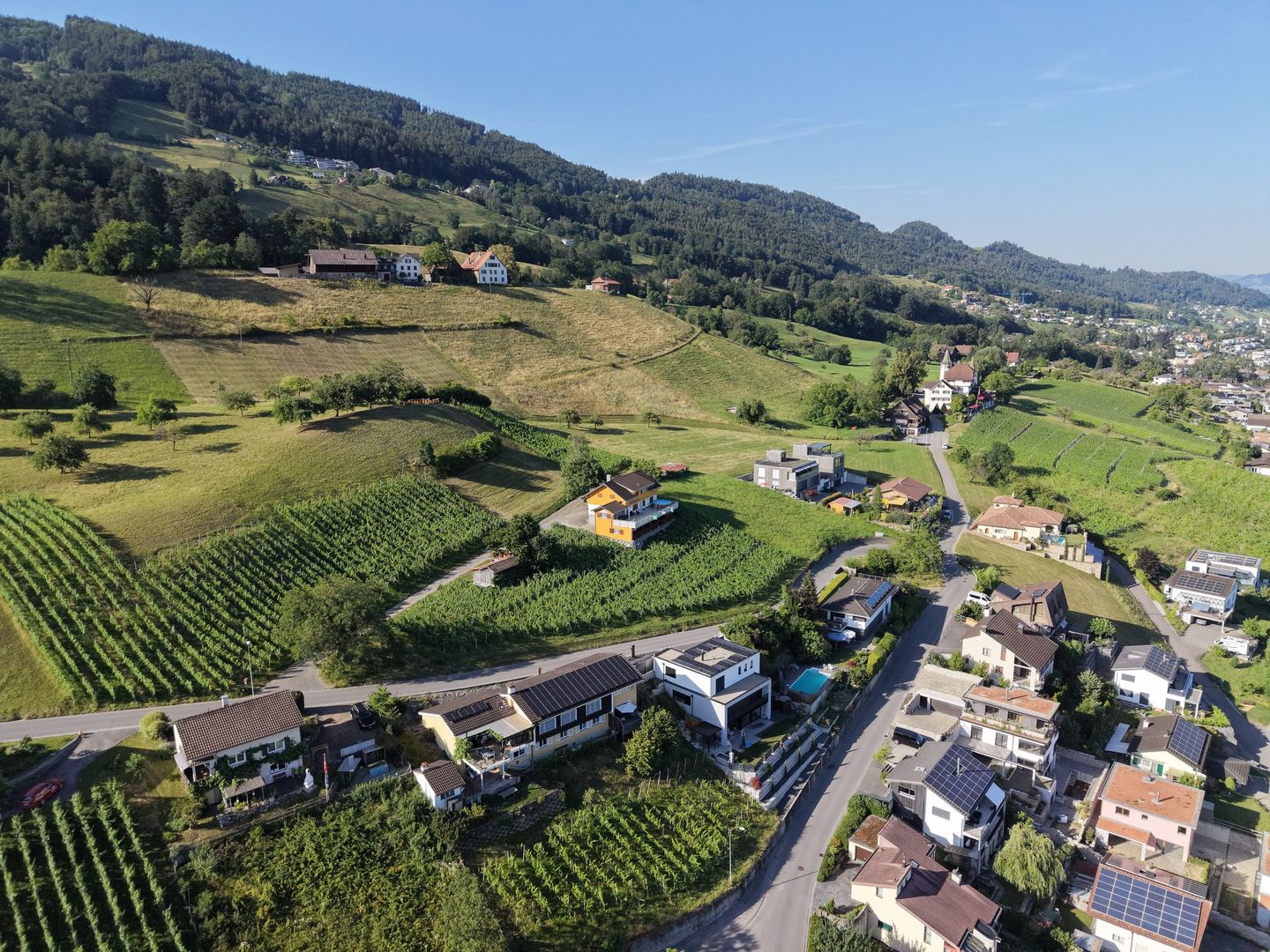 Baulandparzelle am Südhang mit Weitsicht über das Rheintal - Bild 7