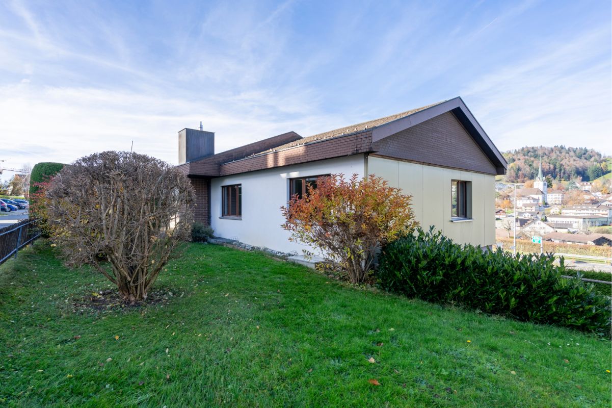 Arbeiten und Wohnen unter einem Dach - freistehendes Einfamilienhaus mit Potenzial - Hauptbild