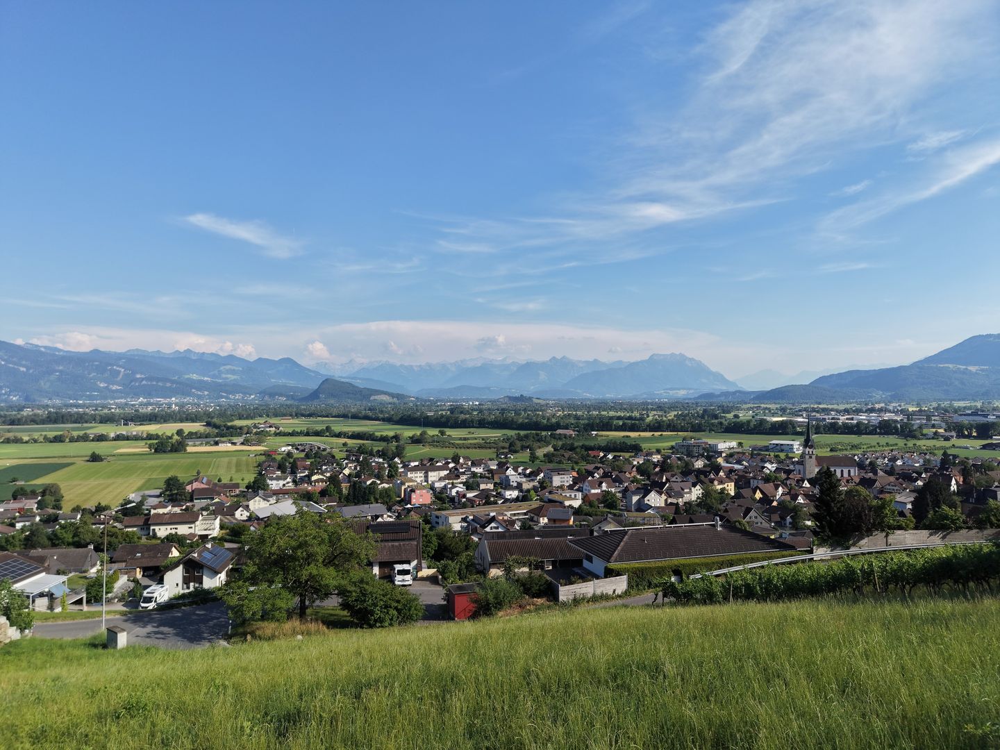 Baulandparzelle am Südhang mit Weitsicht über das Rheintal - Bild 2