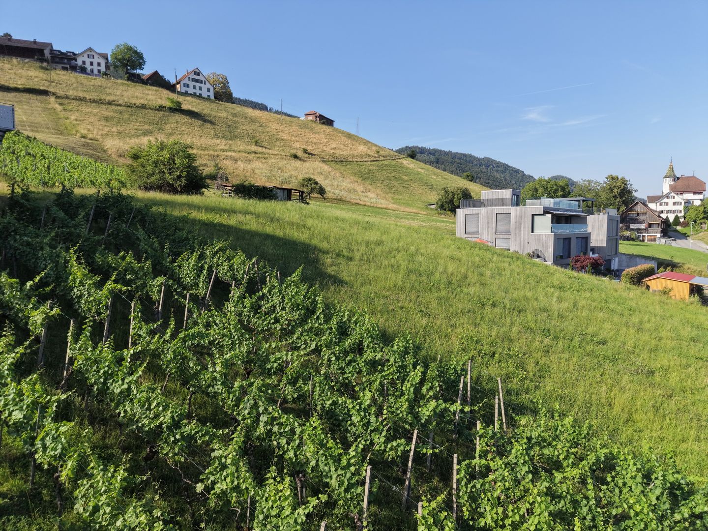 Baulandparzelle am Südhang mit Weitsicht über das Rheintal - Bild 4